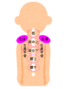 肩こり注射の部位・左右肩2パーツの位置を図で説明してます。